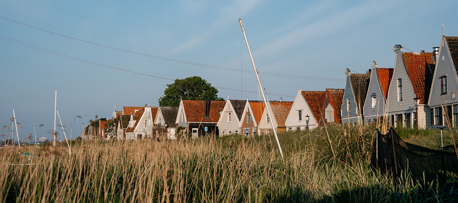 Wander the Surroundings